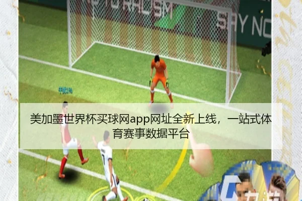 美加墨世界杯买球网app网址全新上线，一站式体育赛事数据平台