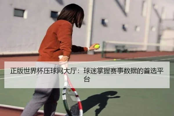 正版世界杯压球网大厅：球迷掌握赛事数据的首选平台